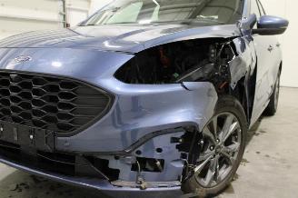 Ford Kuga  picture 6