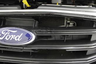 Ford Transit  picture 17