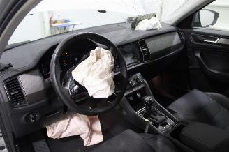 Skoda Kodiaq  picture 10