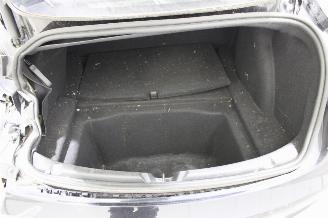 Tesla Model 3  picture 20