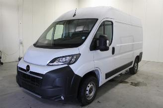 skadebil auto Opel Movano  2025/2