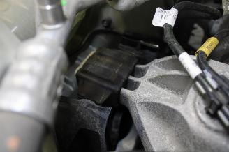 Dacia Sandero  picture 16