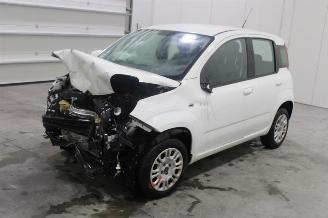  Fiat Panda  2019/9