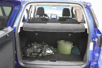 Ford EcoSport  picture 19