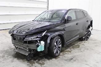 skadebil auto MG EHS  2025/9