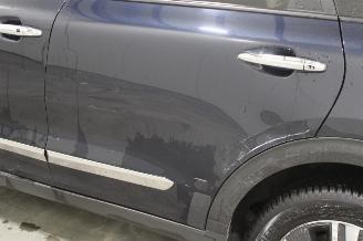 Kia Niro  picture 6