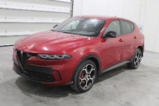 Schadeauto Alfa Romeo Tonale  2024/1