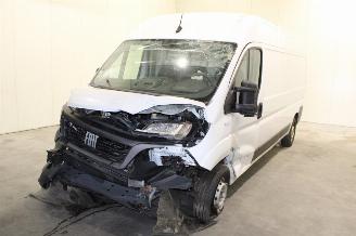 škoda osobní automobily Fiat Ducato  2024/2