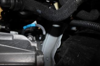 Renault Clio  picture 17