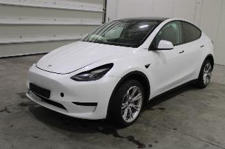 Auto incidentate Tesla Model Y  2023/6