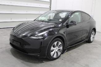 Auto incidentate Tesla Model Y  2024/5
