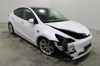 Tesla Model Y  picture 2