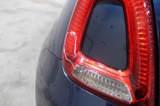 Fiat 500  picture 21