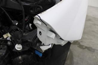 Renault Kangoo  picture 21
