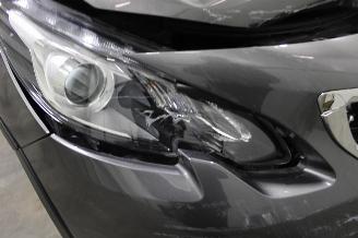 Peugeot 2008  picture 21