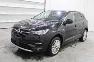 uszkodzony samochody osobowe Opel Grandland X 2020/3