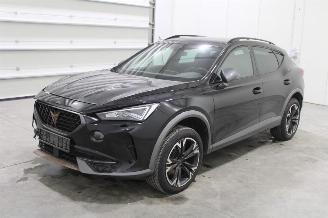 Damaged car Cupra Formentor  2024/2
