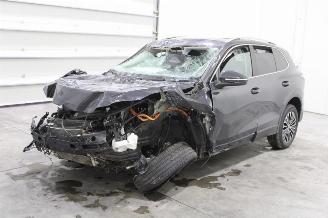 Schadeauto Volkswagen Tiguan  2024/12