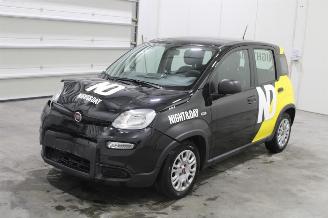 Unfallwagen Fiat Panda  2023/3
