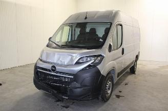 Avarii autoturisme Opel Movano  2025/9