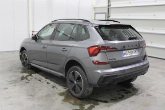 Skoda Kamiq  picture 4