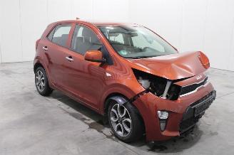 Kia Picanto  picture 3