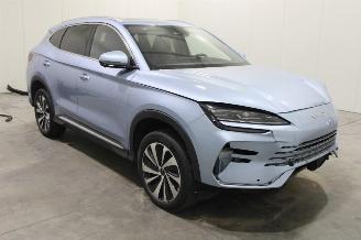 BYD Seal U  picture 2