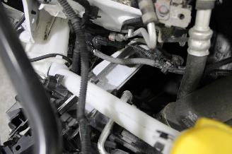 Renault Clio  picture 16