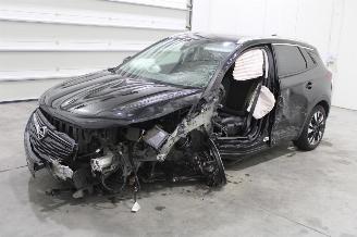 Purkuautot passenger cars Opel Grandland X 2021/6