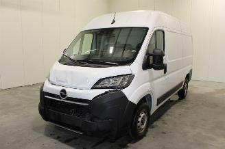 uszkodzony samochody osobowe Opel Movano  2025/10