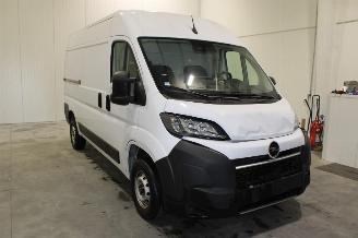 Opel Movano  picture 2