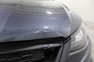 Seat Ibiza  picture 5