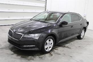 skadebil auto Skoda Superb  2024/2