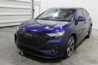 Auto incidentate Audi Q4 e-tron 2023/12