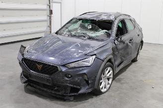 Autoverwertung Cupra Formentor  2023/10