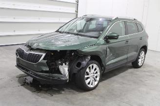 skadebil auto Skoda Karoq  2019/6