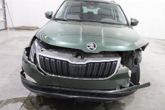 Skoda Karoq  picture 5