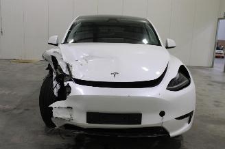 Tesla Model Y  picture 5