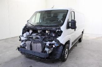 Avarii autoturisme Peugeot Boxer  2024/12
