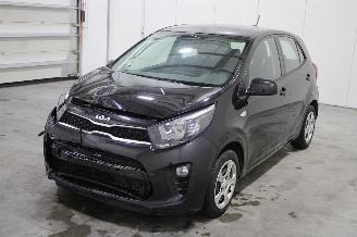 Avarii autoturisme Kia Picanto  2024/4