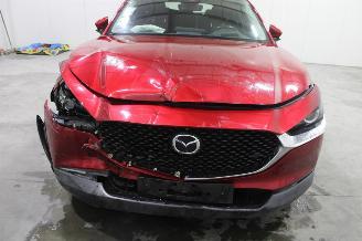 Mazda CX-30  picture 5