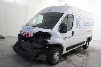 Avarii autoturisme Opel Movano  2024/3
