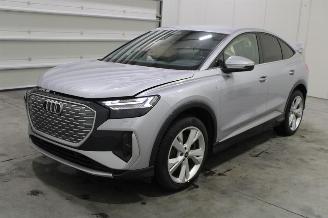 Avarii autoturisme Audi Q4 e-tron 2024/6