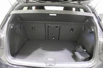 Volkswagen Golf  picture 21
