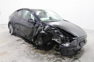 Tesla Model Y  picture 2