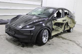 Damaged car Tesla Model Y  2025/4