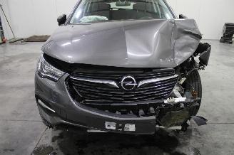 Opel Grandland X picture 5