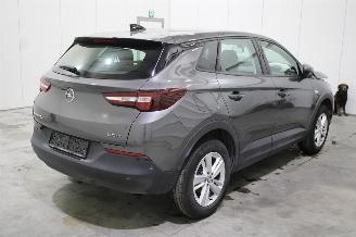 Opel Grandland X picture 3