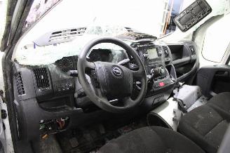 Opel Movano  picture 11