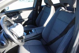 Renault Austral  picture 8